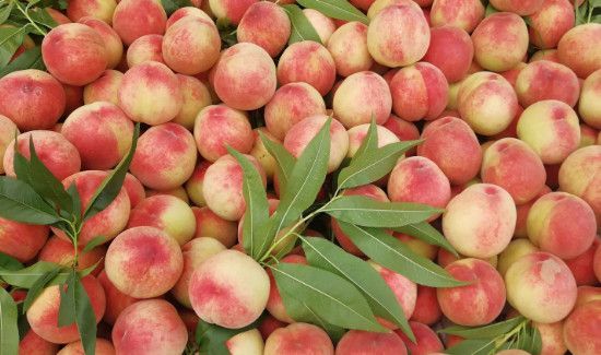 水蜜桃可以放冰箱储存吗