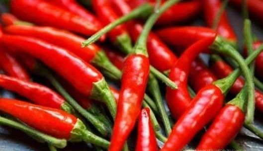 如何去除身体内的湿气