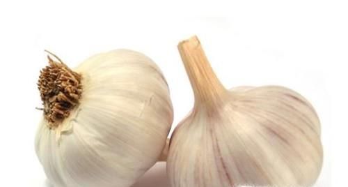 夏季如何防止大米面粉生虫子