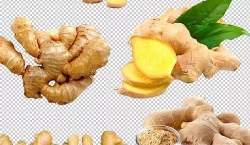 夏季如何防止大米面粉生虫子