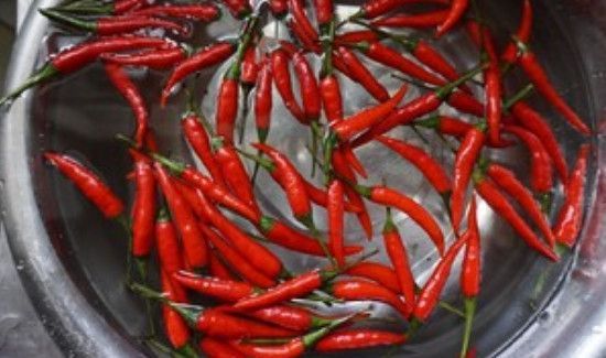 新鲜小米椒怎么长时间保存