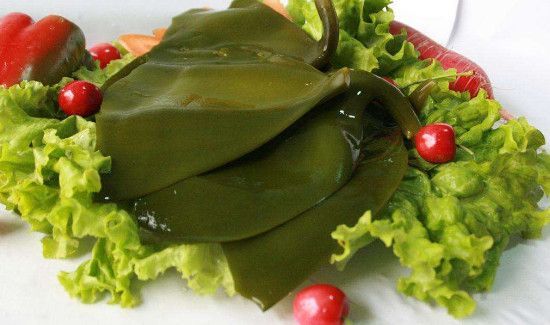 海带上有小疙瘩能吃吗