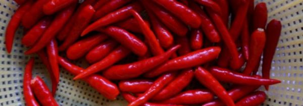 新鲜小米椒怎么长时间保存