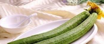 六月初有哪些时令蔬菜