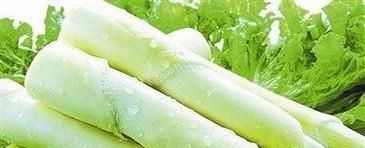 六月初有哪些时令蔬菜