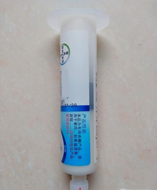 如何有效杀灭蟑螂