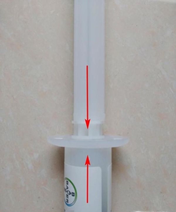 如何有效杀灭蟑螂