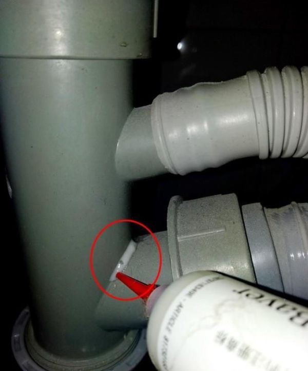 如何有效杀灭蟑螂