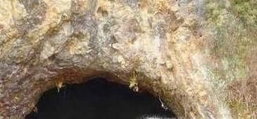 野外生存基本常识