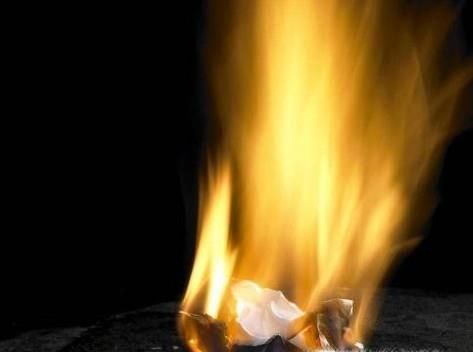 如何去除厨房里的蚂蚁