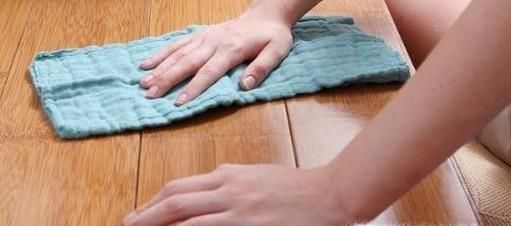 如何去除厨房里的蚂蚁