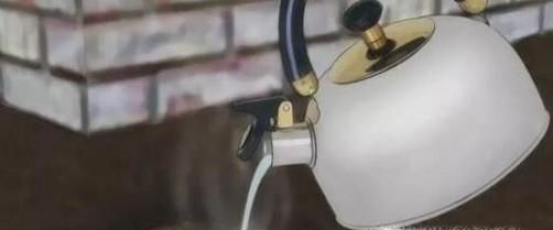 如何去除厨房里的蚂蚁