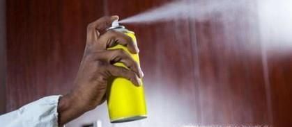 如何去除厨房里的蚂蚁