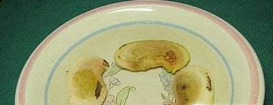 芒果的种植方法