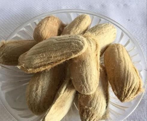 芒果的种植方法