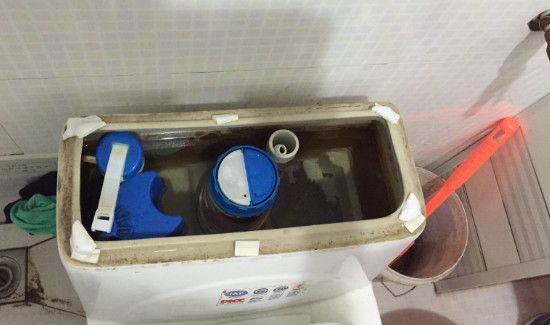 马桶里有飞虫怎么消灭