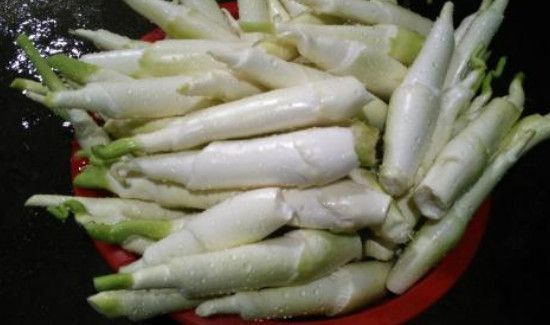 茭白什么人不能吃