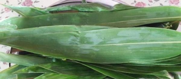 如何挑选粽叶？