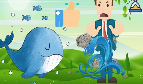 龙涎香来自哪种动物