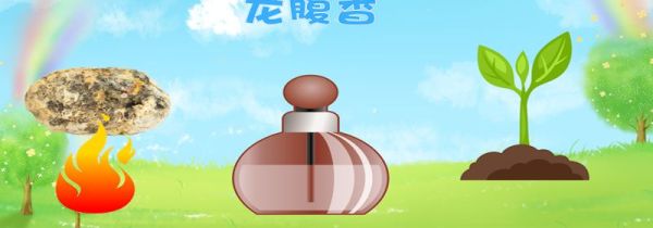 龙涎香是什么东西