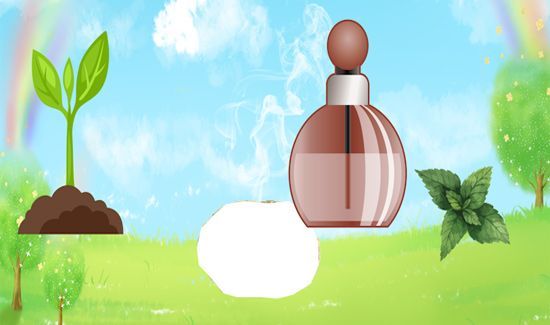 龙涎香是什么东西