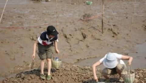 海边如何抓蛏子，方法技巧