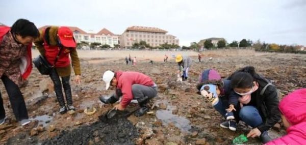 海边如何抓蛏子，方法技巧