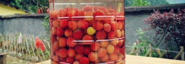 杨梅可以和枸杞子一起泡酒吗