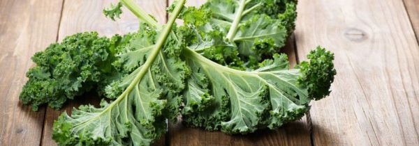 羽衣甘蓝能生吃吗