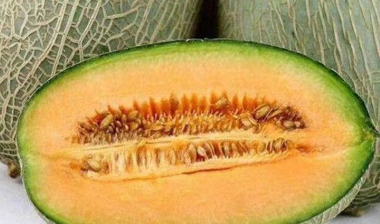 哈密瓜17号和25号区别