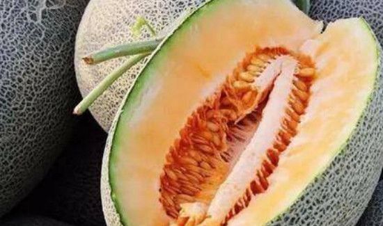 哈密瓜17号和25号区别