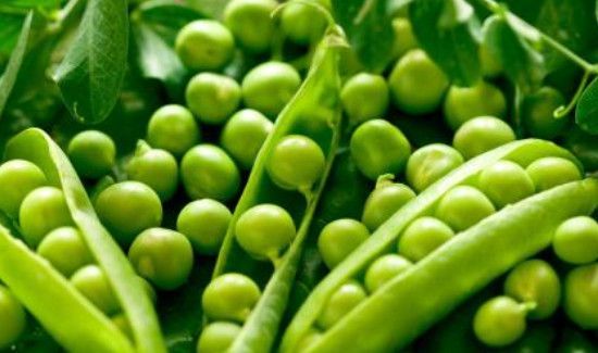 青豆煮几分钟才能熟