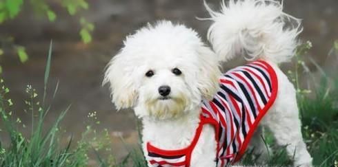 如何在生活中正确使用小苏打