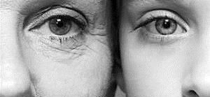 细胞衰老的相关知识点