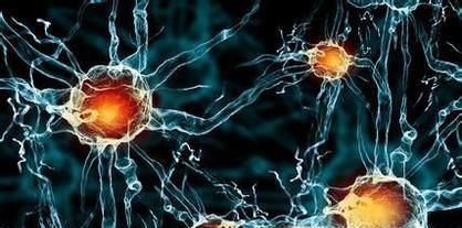 细胞衰老的相关知识点