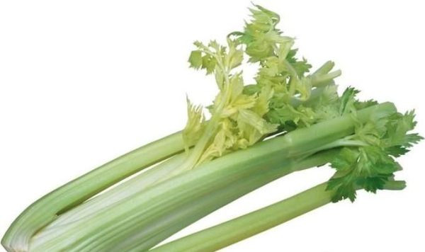 有哪些负卡路里的食物？