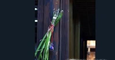 端午节艾草怎么挂