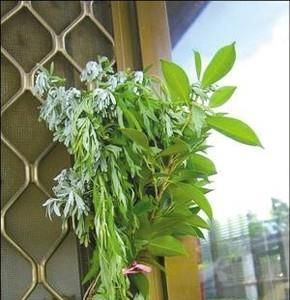 端午节艾草怎么挂