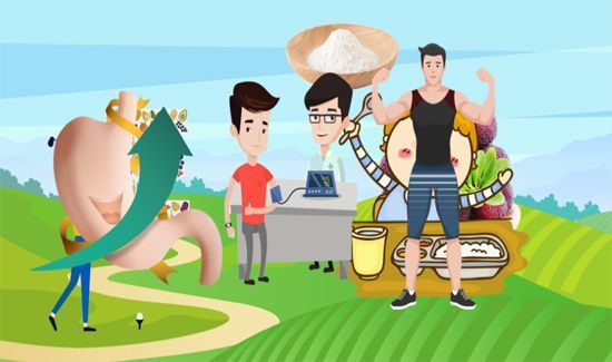 杨梅什么时候成熟