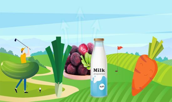 杨梅什么时候成熟