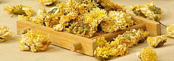 贡菊的功效与作用