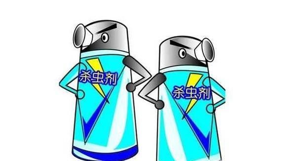 厨房有虫子怎么办