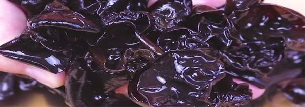 木耳泡多久就不能吃了