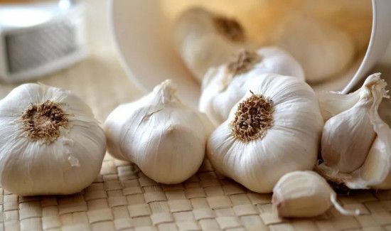 大蒜为什么不能放冰箱里