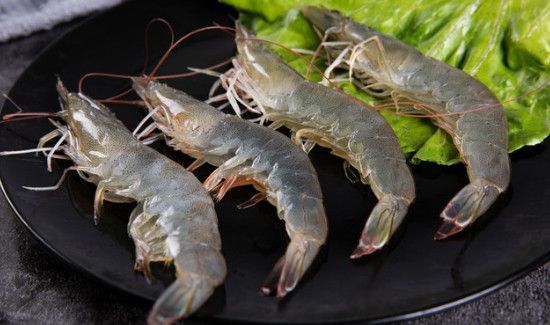 基围虾死了多久不能吃