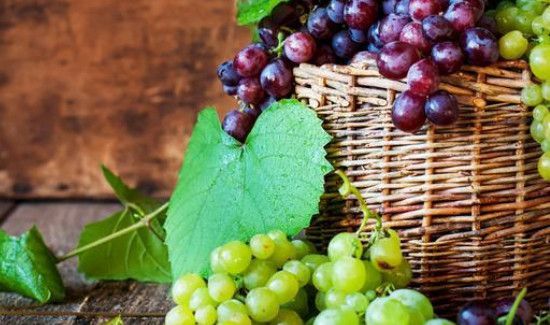 无籽葡萄对身体有害吗