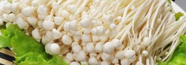 金针菇放久了会有毒吗