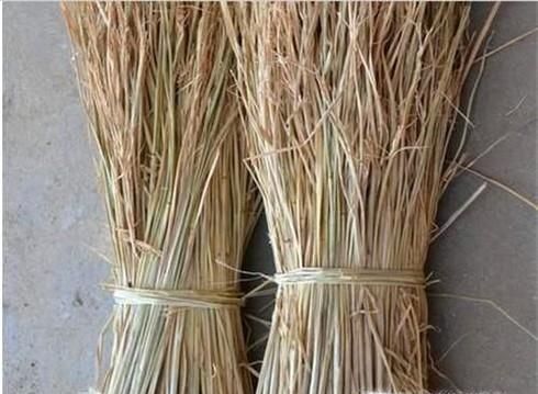 农家人怎样做粽子绳？