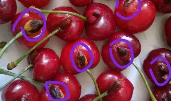 樱桃上有个小疙瘩还能吃吗