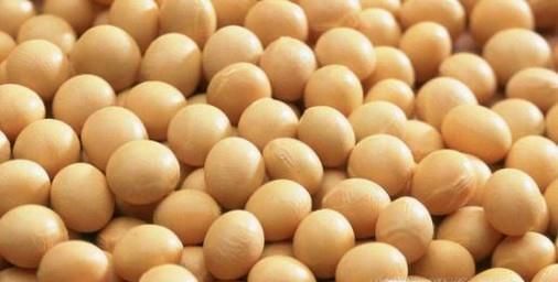 非转基因食品有哪些